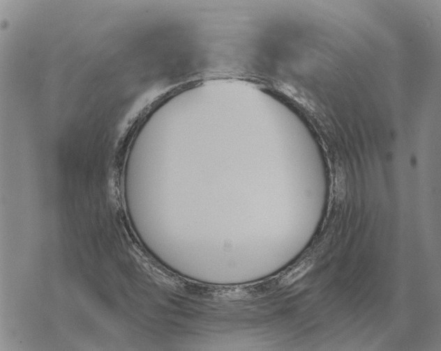 X0000073901454200609011706