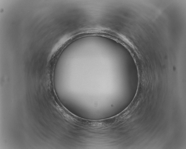 X0000073901456200609011706