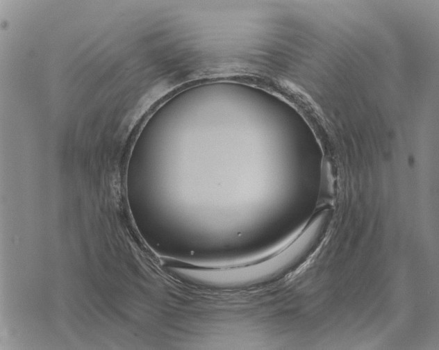 X0000073901457200609011706