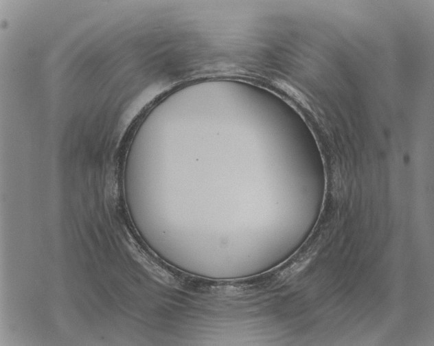 X0000073901458200609011706