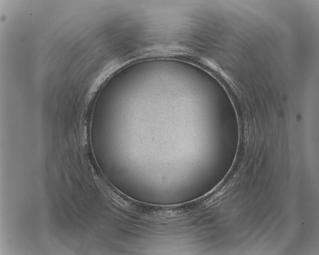 X0000073901459200609011706