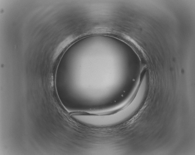 X0000073901461200609011706