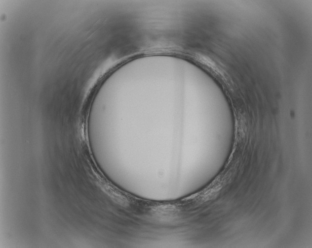 X0000073901462200609011706