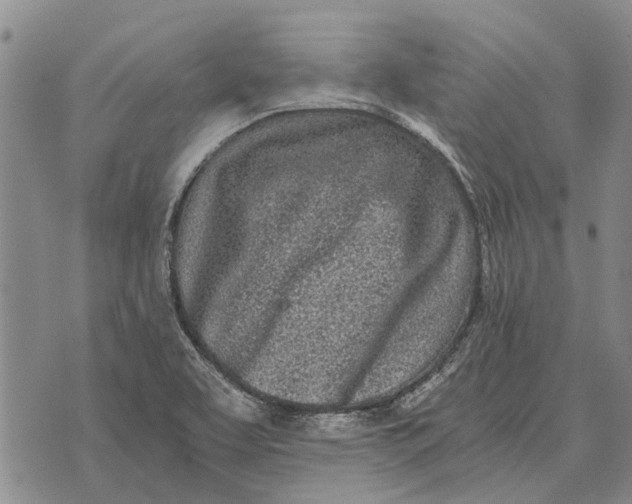 X0000073901463200609011706