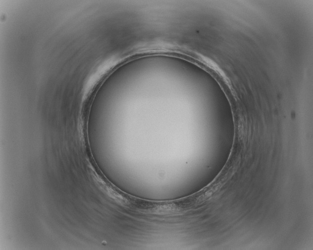 X0000073901464200609011706