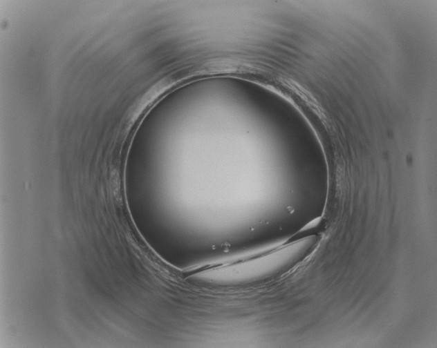 X0000073901465200609011706