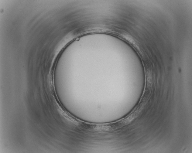 X0000073901466200609011706