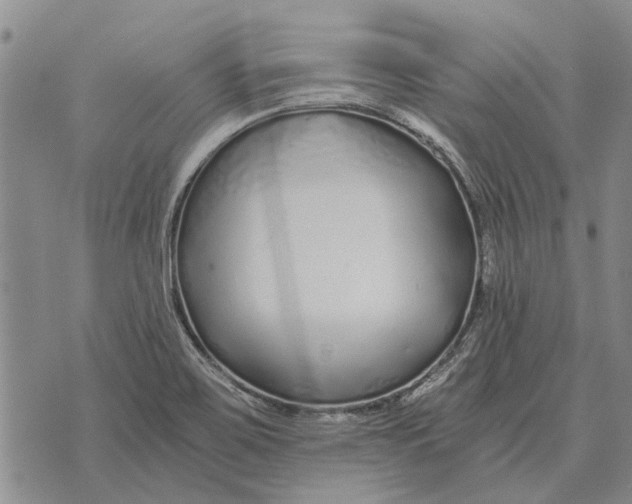 X0000073901467200609011706