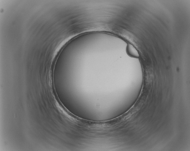 X0000073901468200609011706