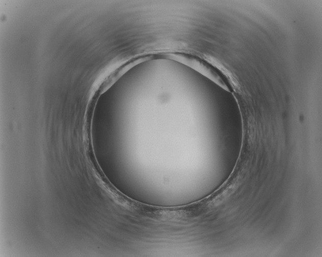 X0000073901469200609011706