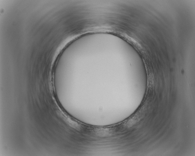 X0000073901470200609011706