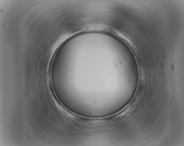 X0000073901471200609011706