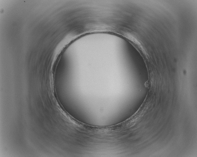 X0000073901472200609011706