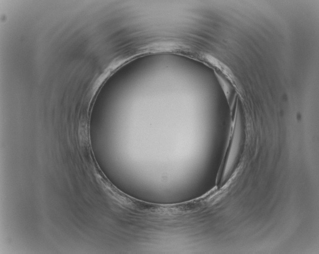 X0000073901473200609011706