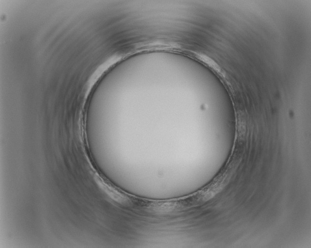 X0000073901474200609011706