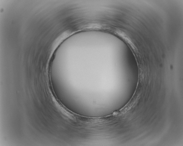 X0000073901475200609011706