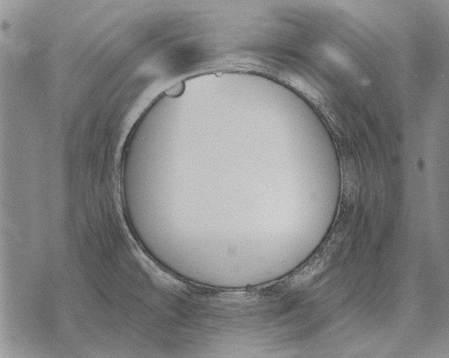 X0000073901478200609011706