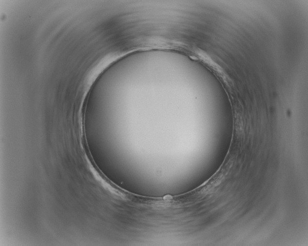 X0000073901479200609011706