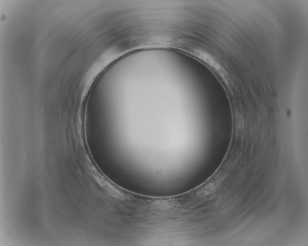 X0000073901480200609011706