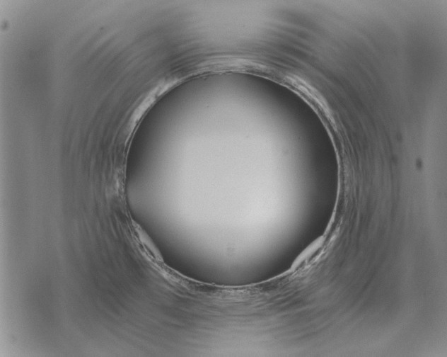 X0000073901481200609011706