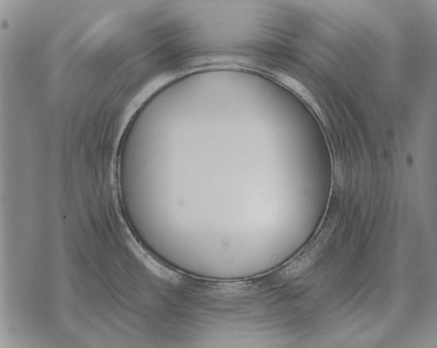 X0000073901482200609011706