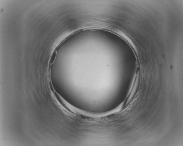 X0000073901485200609011706