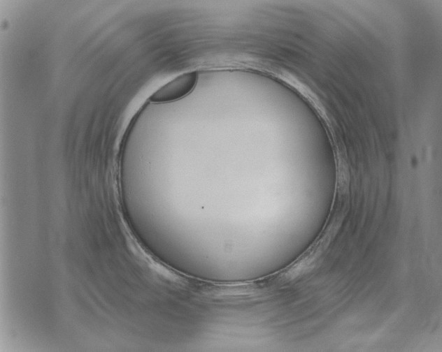 X0000073901486200609011706