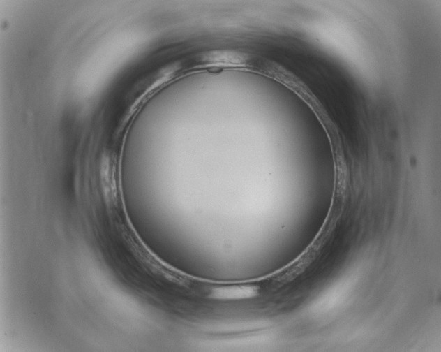 X0000073901487200609011706