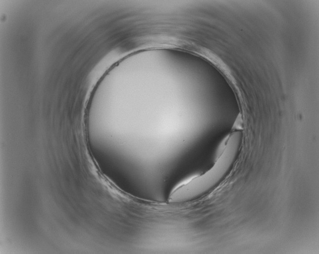 X0000073901488200609011706