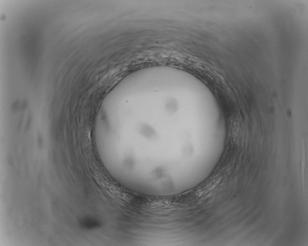 X0000073901489200609011705