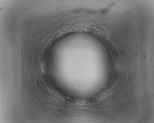 X0000073901490200609011705