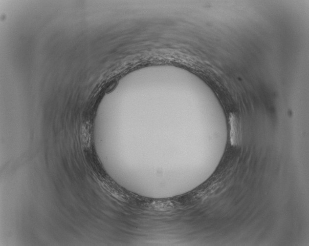 X0000073901491200609011705