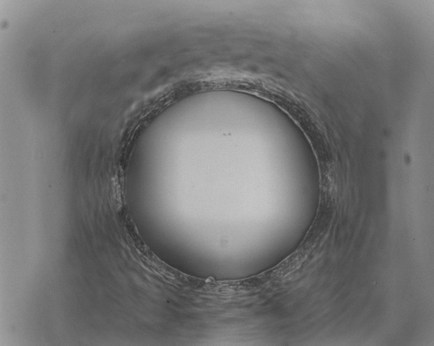 X0000073901493200609011705