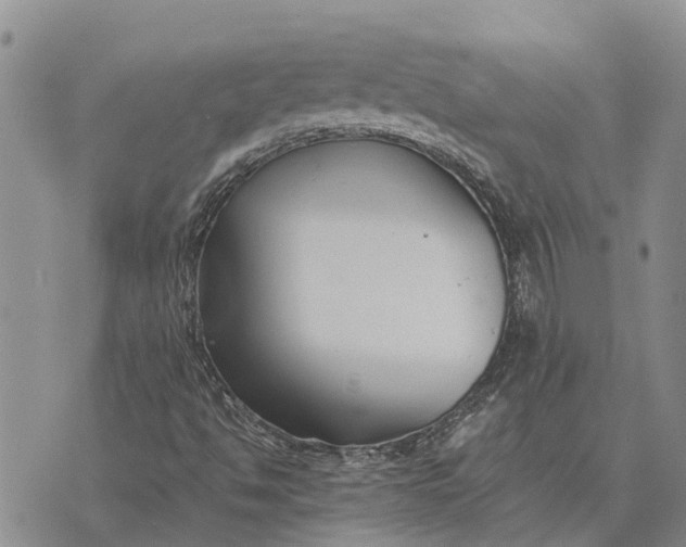 X0000073901494200609011705