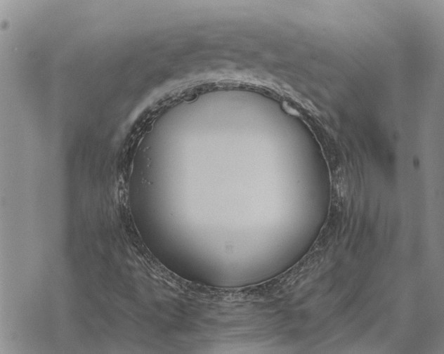 X0000073901495200609011705