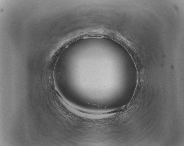 X0000073901496200609011705