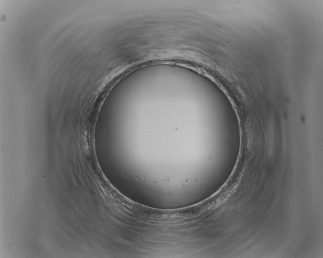 X0000073901497200609011705