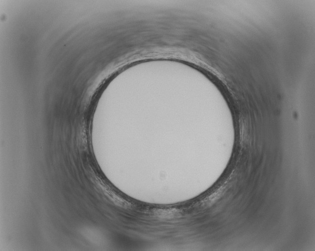 X0000073901498200609011705