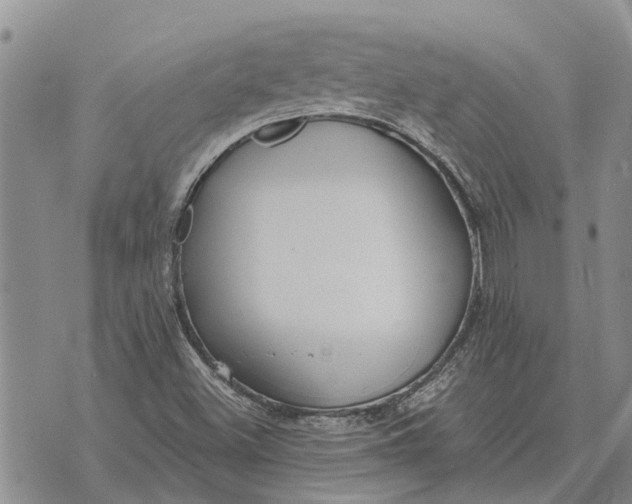 X0000073901500200609011705