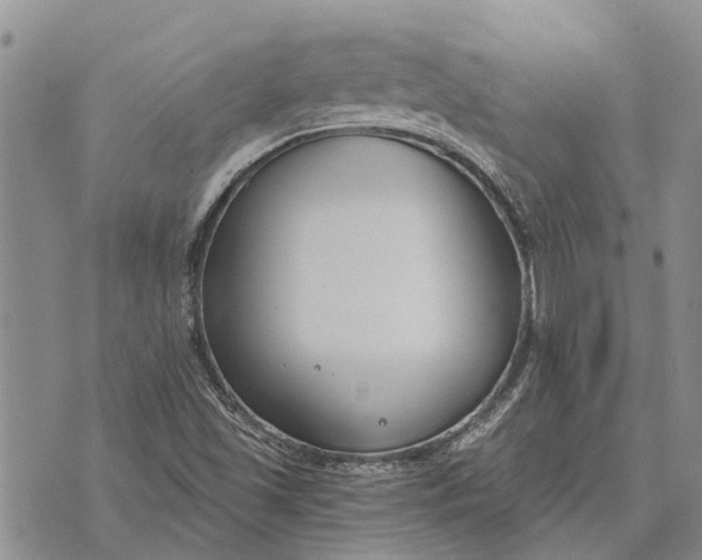 X0000073901501200609011705