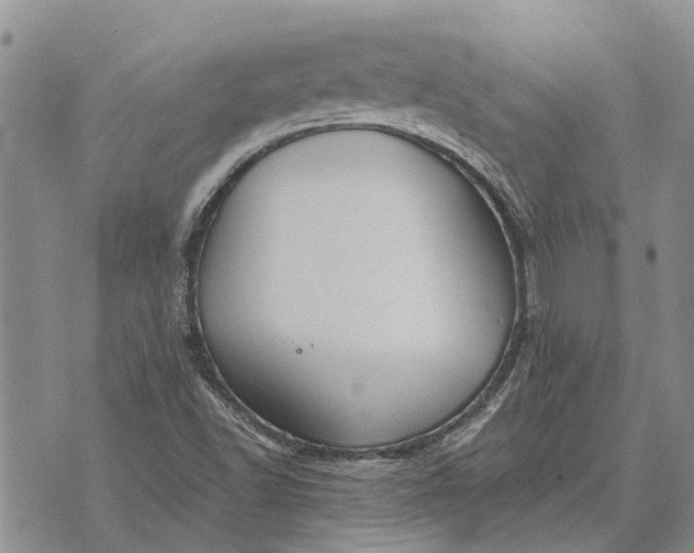 X0000073901502200609011705