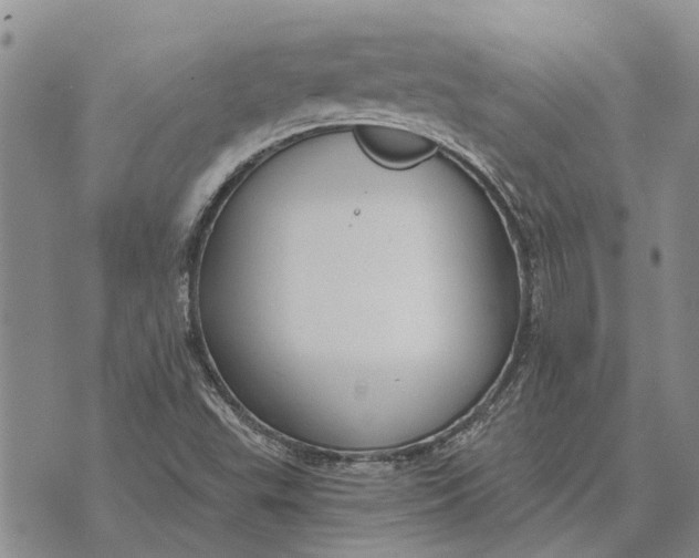 X0000073901503200609011705