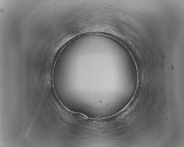 X0000073901505200609011705