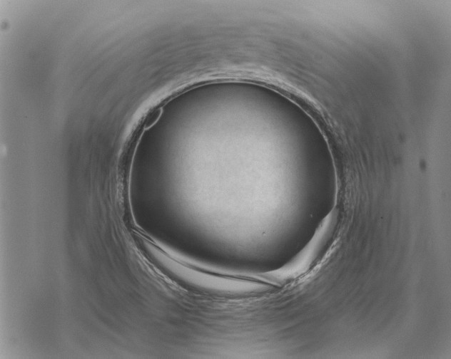 X0000073901506200609011705