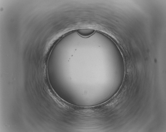 X0000073901507200609011705