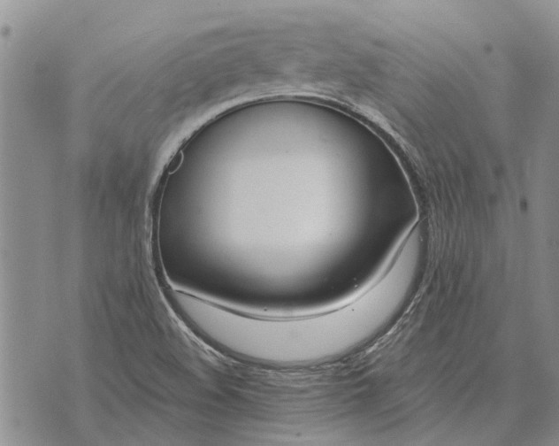 X0000073901508200609011705