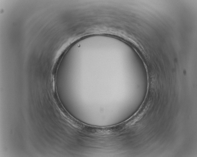 X0000073901509200609011705