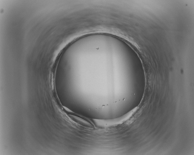 X0000073901510200609011705