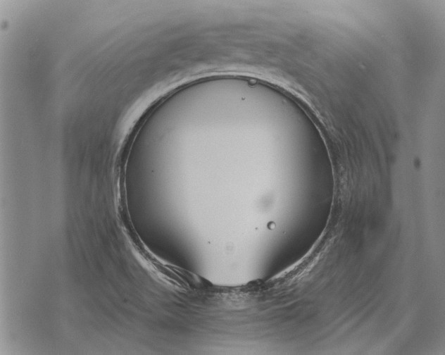 X0000073901511200609011705