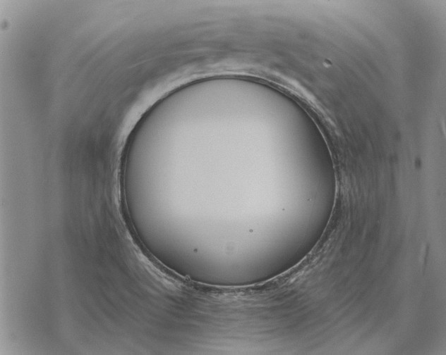 X0000073901512200609011705